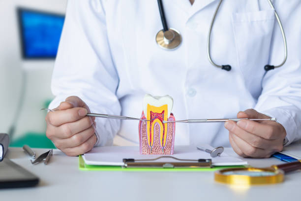 Best Tooth Pain Emergency Relief  in Bigfork, MT